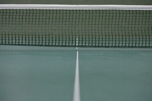 开云体育APP下载-那不勒斯完胜塞维利亚，莱万高光表现——意甲强势回归的精彩篇章