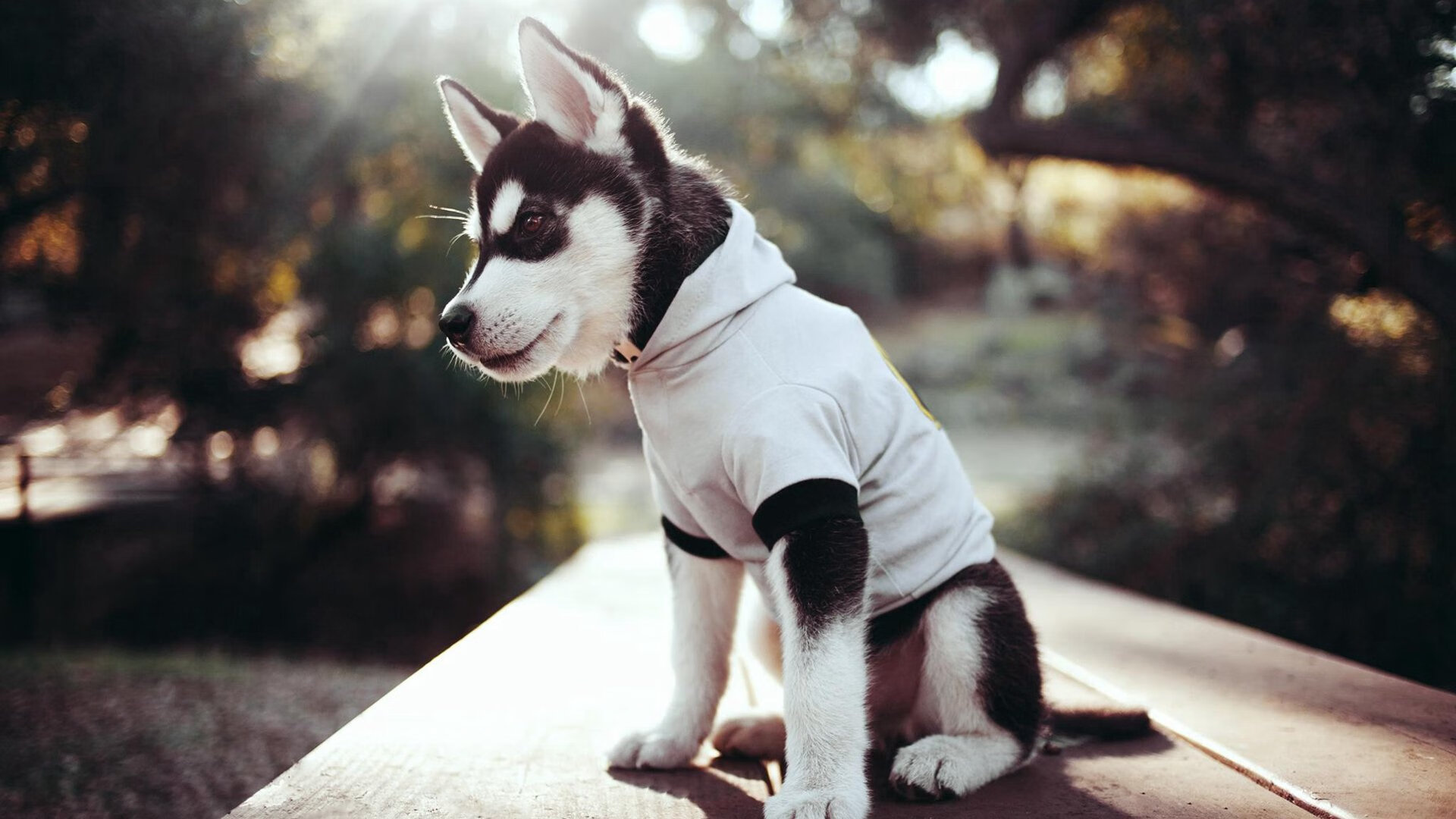 开云体育登录-王座崩塌前最后三分钟，那个叫英格拉姆的男人如神兵天降