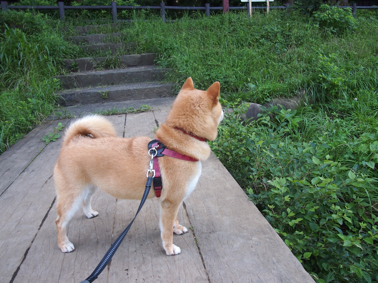 热火封锁战终现曙光，保罗末节收割诠释何为关键先生