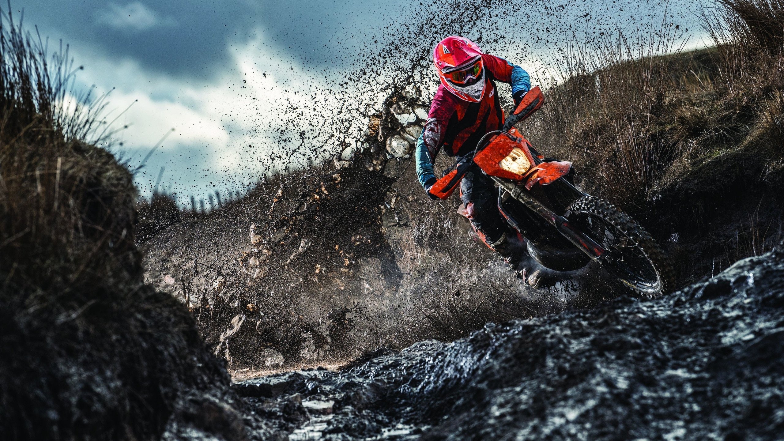 开云体育官网-神迹夜！浙江惊天逆转的背后，范弗利特这记制胜球如何撕裂老鹰？